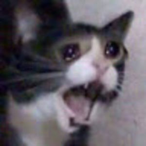 Meet your Posher, Corrin